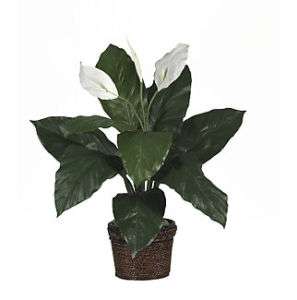 Silk Artificial PEACE LILY Spathyfillum Flower Plant  