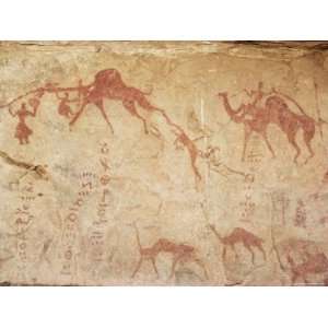 Rock Art of Tuaregs with Camels, Tassili, Algeria, North Africa 