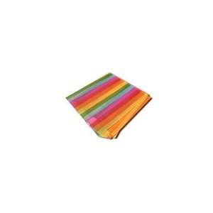  Rainbow Stripe 21 Bandanas