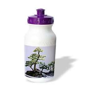  Trees   Bonsai Tree   Water Bottles
