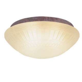 NEW 2 Light Outdoor Ceiling Fan Lighting Kit, Bronze, White Glass 