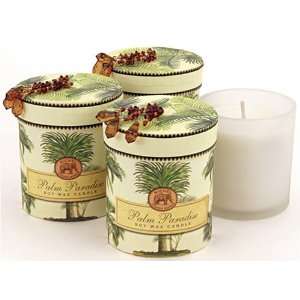   Palm Paradise Soy Wax Candle Set, 3 Candles