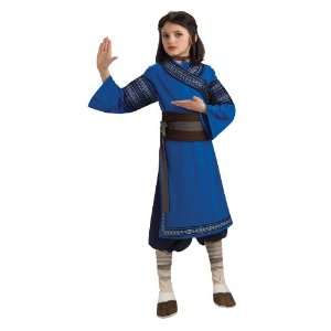   Airbender Childs Costume, Katara Costume, Size Medium Toys & Games