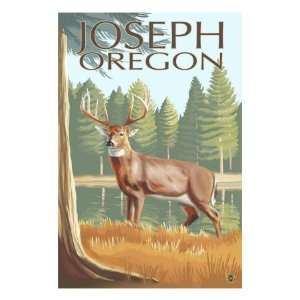  Joseph, Oregon, White Tail Deer Giclee Poster Print