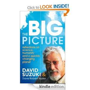The Big Picture David / Taylor, Dave Robert Suzuki  