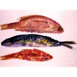  Three Fish, 1998 (w/c on paper) by Hilary Rosen   Art 