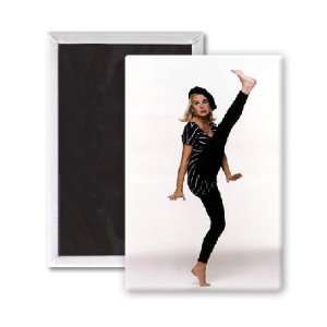  Lisa Maxwell   3x2 inch Fridge Magnet   large magnetic 