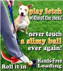   is extremely fun to use encouraging dog owners to get active it s not