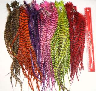 Grizzly♥ Real Rooster Feather Hair Extension ♥TOP QUAILITY 