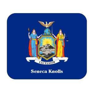  US State Flag   Seneca Knolls, New York (NY) Mouse Pad 