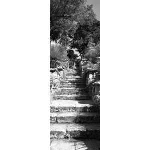 Steps in a Garden, Neptunes Steps, Tresco Abbey Garden, Tresco, Isles 