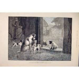 Family Dog Dogs Disgrace Berkley Fine Art 1885 Antique 