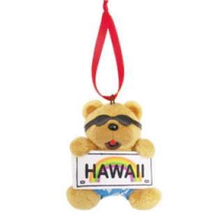 Hawaiian Hawaii Island Christmas Ornament ~ HI LICENSE PLATE BOY BEAR 