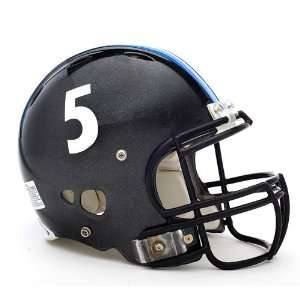  High School Sports   Warhill Lions Football Helmet