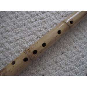  Zen 7 Holes Dongxiao Shakuhachi Bamboo Flute w. Root End 