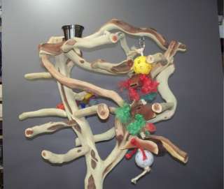 Manzanita Parrot Tree Bird Stand Toy Play Gym like Java Wood 