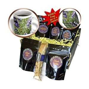     Bumble Bee and Lavender   Coffee Gift Baskets   Coffee Gift Basket