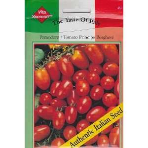   Borghese Tomato   600 Seeds   Taste of Italy Patio, Lawn & Garden