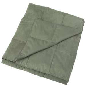  Dockers Microsuede Reversible Down Throw, Basil