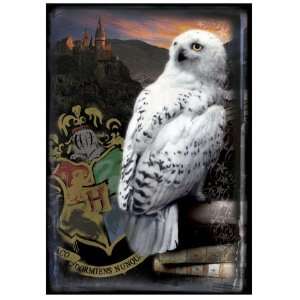    Harry Potter HBP Puzzle Hogwarts and Hedwig Toys & Games