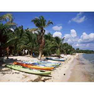  Beach with Palm Trees and Kayaks, Punta Soliman, Mayan 