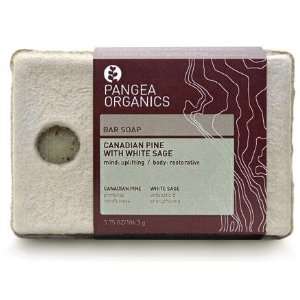 Pangea Organics Canadian Pine with White Sage Bar Soap 3.75 oz.
