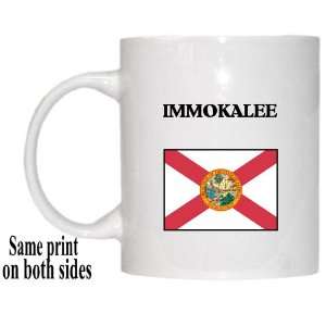  US State Flag   IMMOKALEE, Florida (FL) Mug Everything 