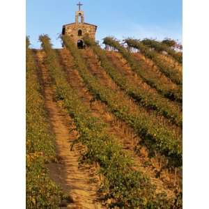  Red Willow Vineyard with Stone Chapel, Yakima County 
