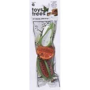   JW Pet Small Animal Chew Toy From Trees Fruits Small 2 Pieces Pet