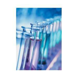  VRP   Test Candida Antibodies (IgG, IgA, IgM) and Candida 