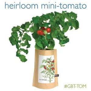   Shed Creations Garden in a Bag Mini tomato Patio, Lawn & Garden