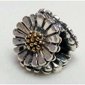   Silver Charm Pandora, Chamilia, Biagi & European Bracelets Compatible