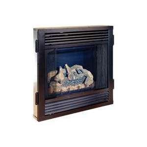   Intl Heat Natural Gas Dir Vent Fireplace CGDV32NR