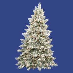   Lit Frosted Idaho Pine Christmas Tree   Clear Lights