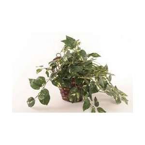  Forever Silk Foliage in Wall Basket (017 SP5925 01 CSB 