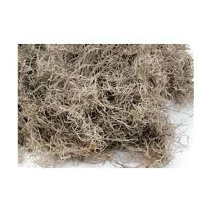  Spanish Moss (5 Pounds) Arts, Crafts & Sewing