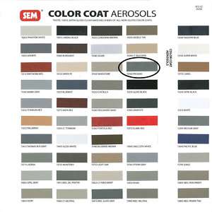 SEM Color Coat Presidio(Grey) Vinyl Plastic Paint#15163  