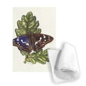  Purple Emperor Butterfly on Oak leaves (w/c)   Tea Towel 