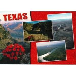    Texas Postcard Tx137 Texas Rush Hour(pack Of 750) 