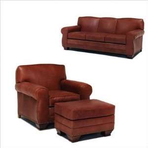  Series Hampton Leather Sleeper Sofa and Chair Set 