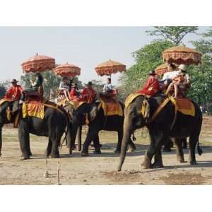  Riding Elephants in Traditional Royal Style, Ayuthaya, Thailand 