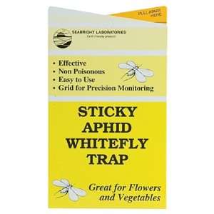  White Fly Sticky Traps 5 Pack 
